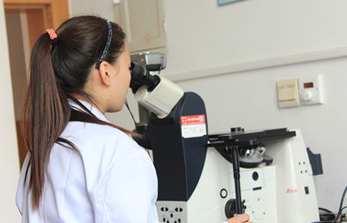 研究開發(fā)與技術(shù)咨詢 協(xié)同驅(qū)動創(chuàng)新與商業(yè)價值